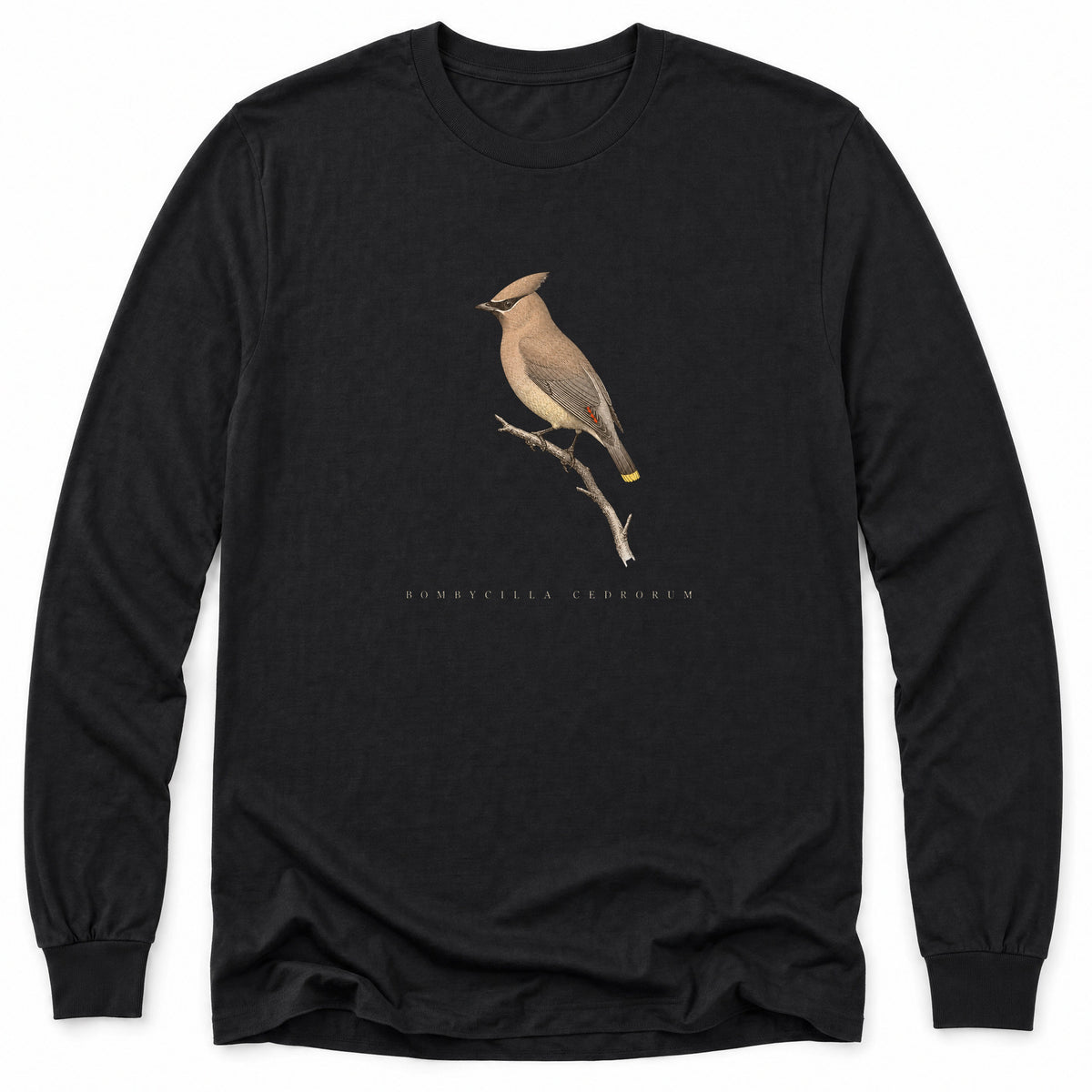 Spark Bird Society — Black