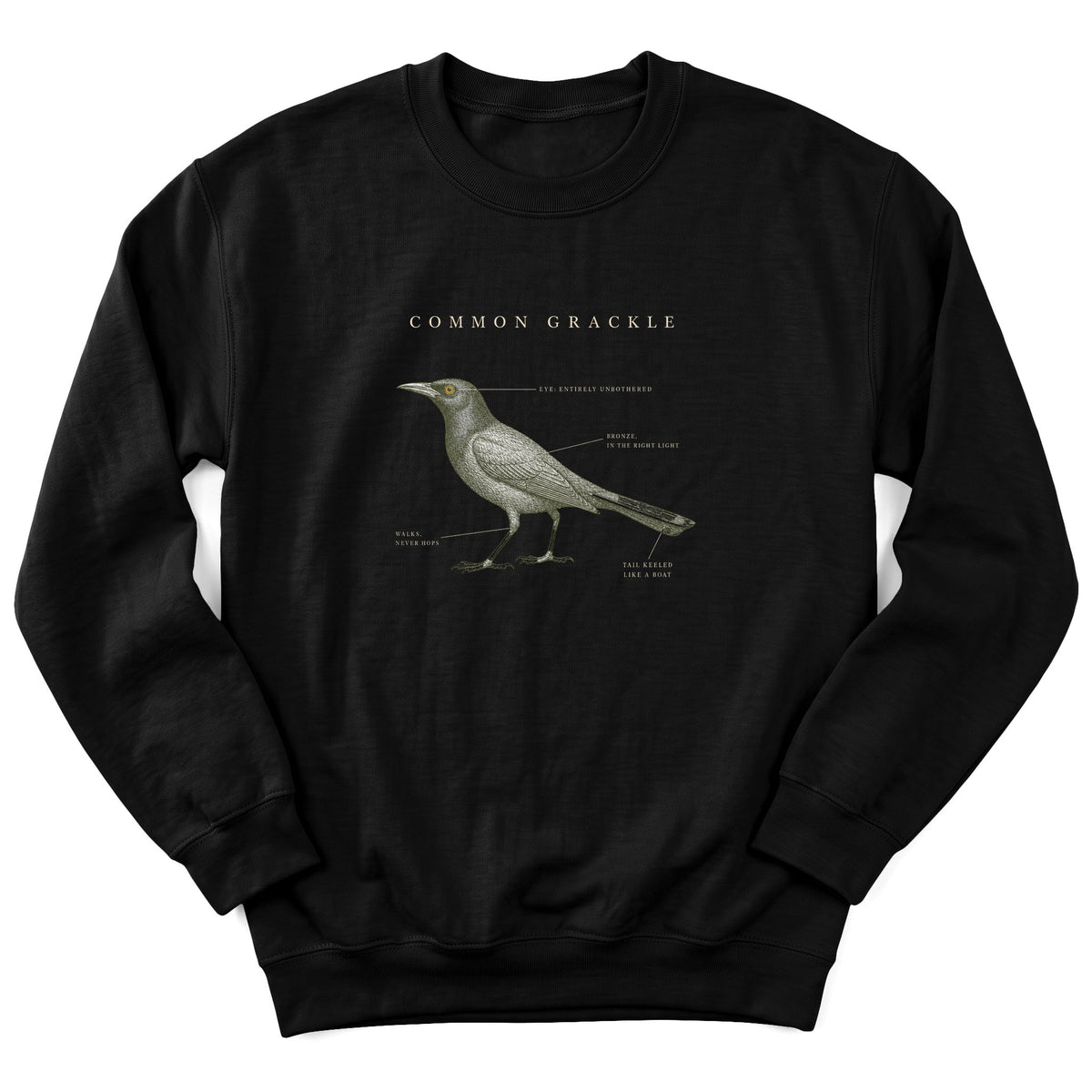 Spark Bird Society — Black