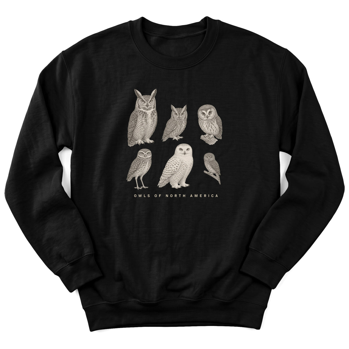 Spark Bird Society — Black