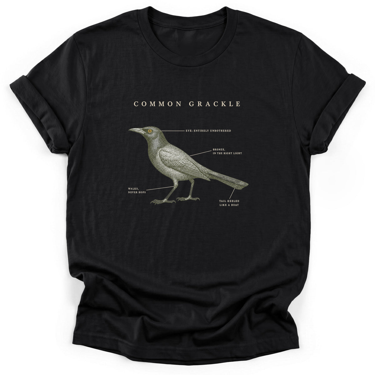 Spark Bird Society — Black