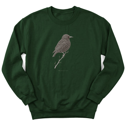 Dressed in Stars Crewneck Sweatshirt