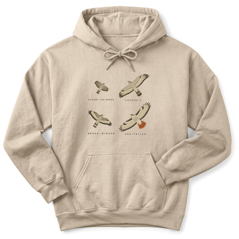 Four Hawks From Below Hoodie