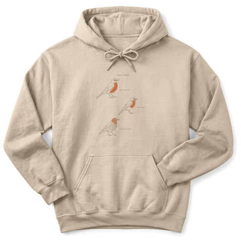 Family Turdidae Hoodie