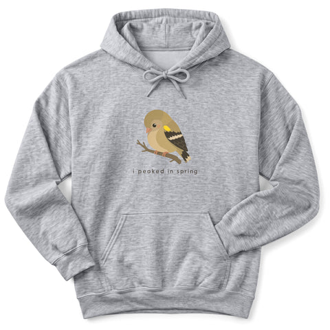 I Peaked In Spring Hoodie