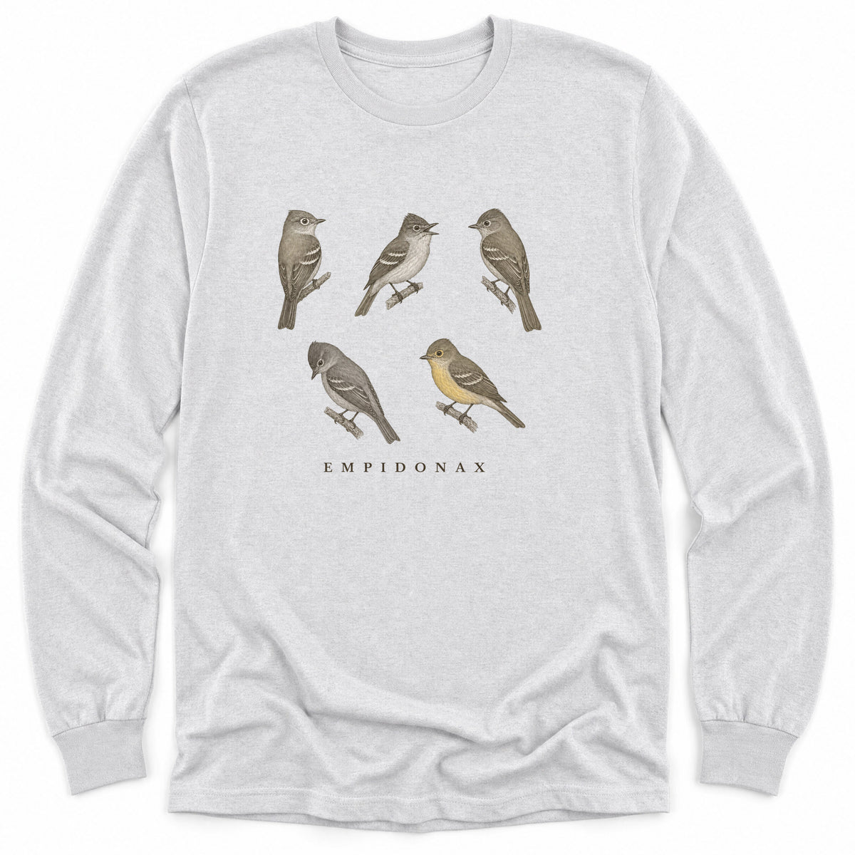 Spark Bird Society — Ash