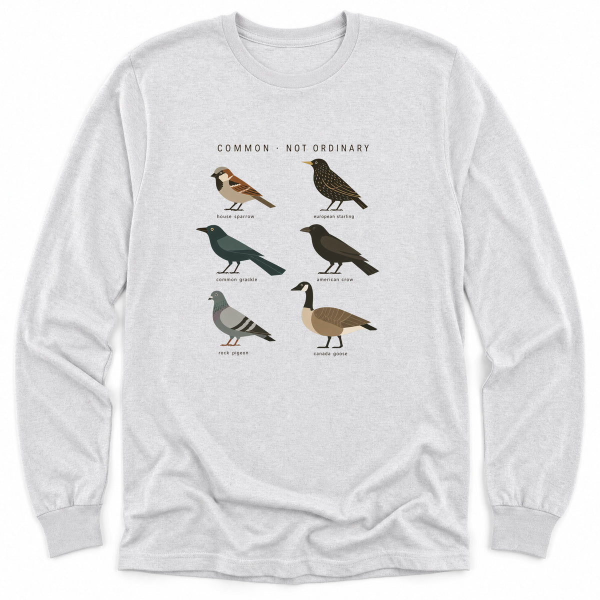 Spark Bird Society — Ash