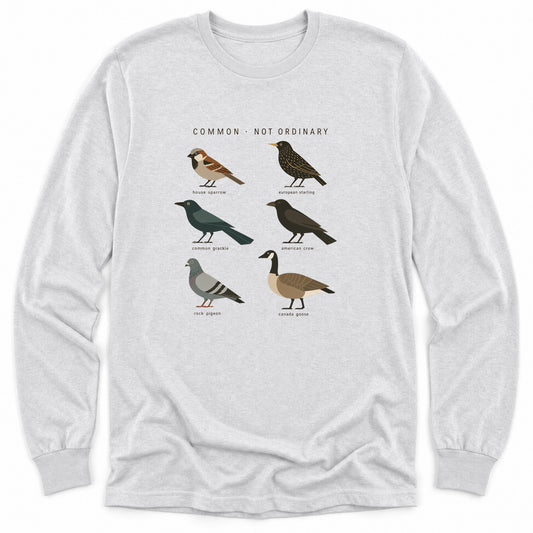Spark Bird Society — Ash