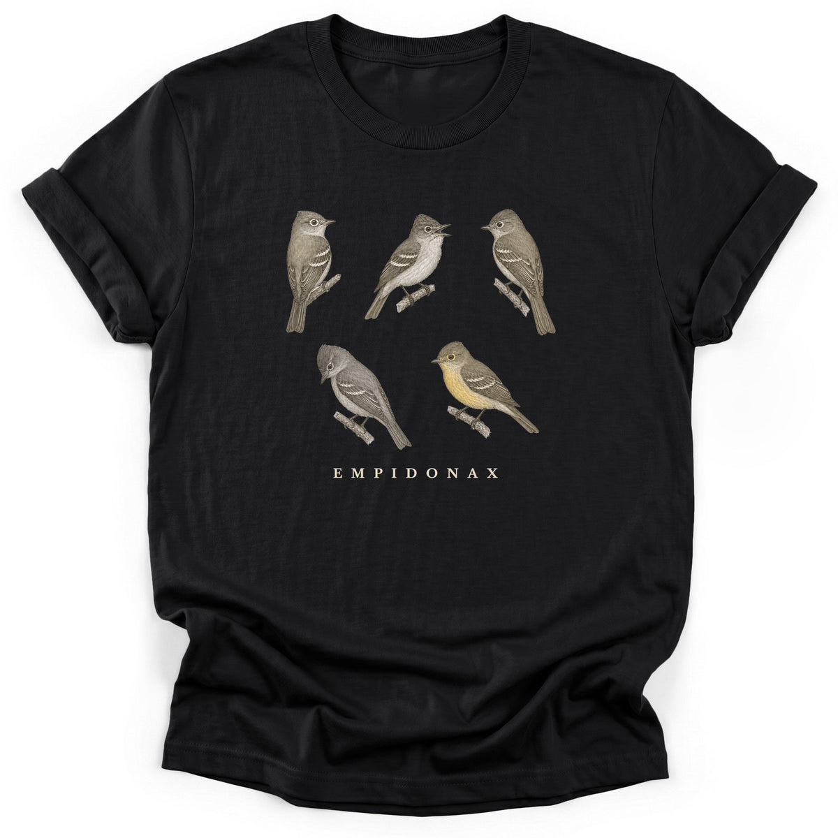 Spark Bird Society — Black
