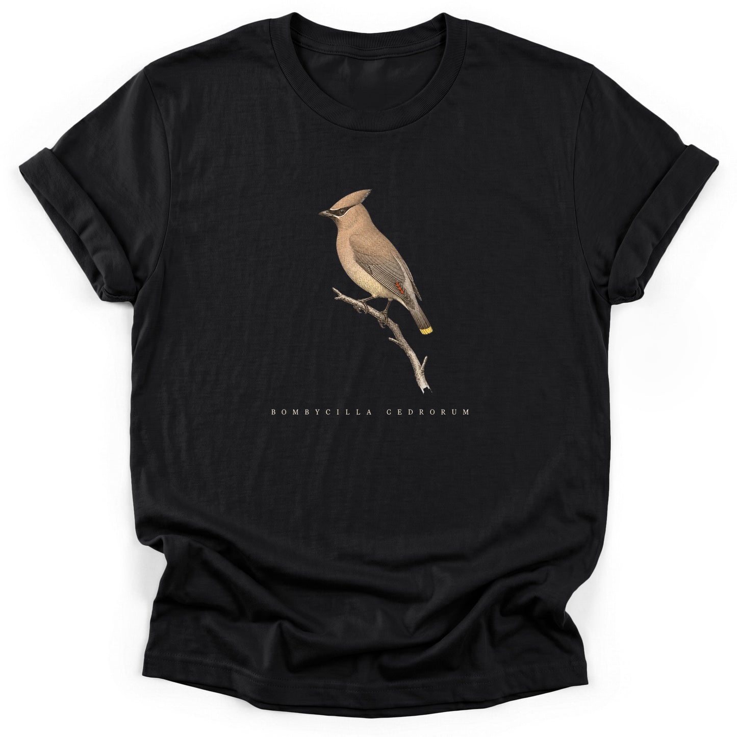 Spark Bird Society — Black