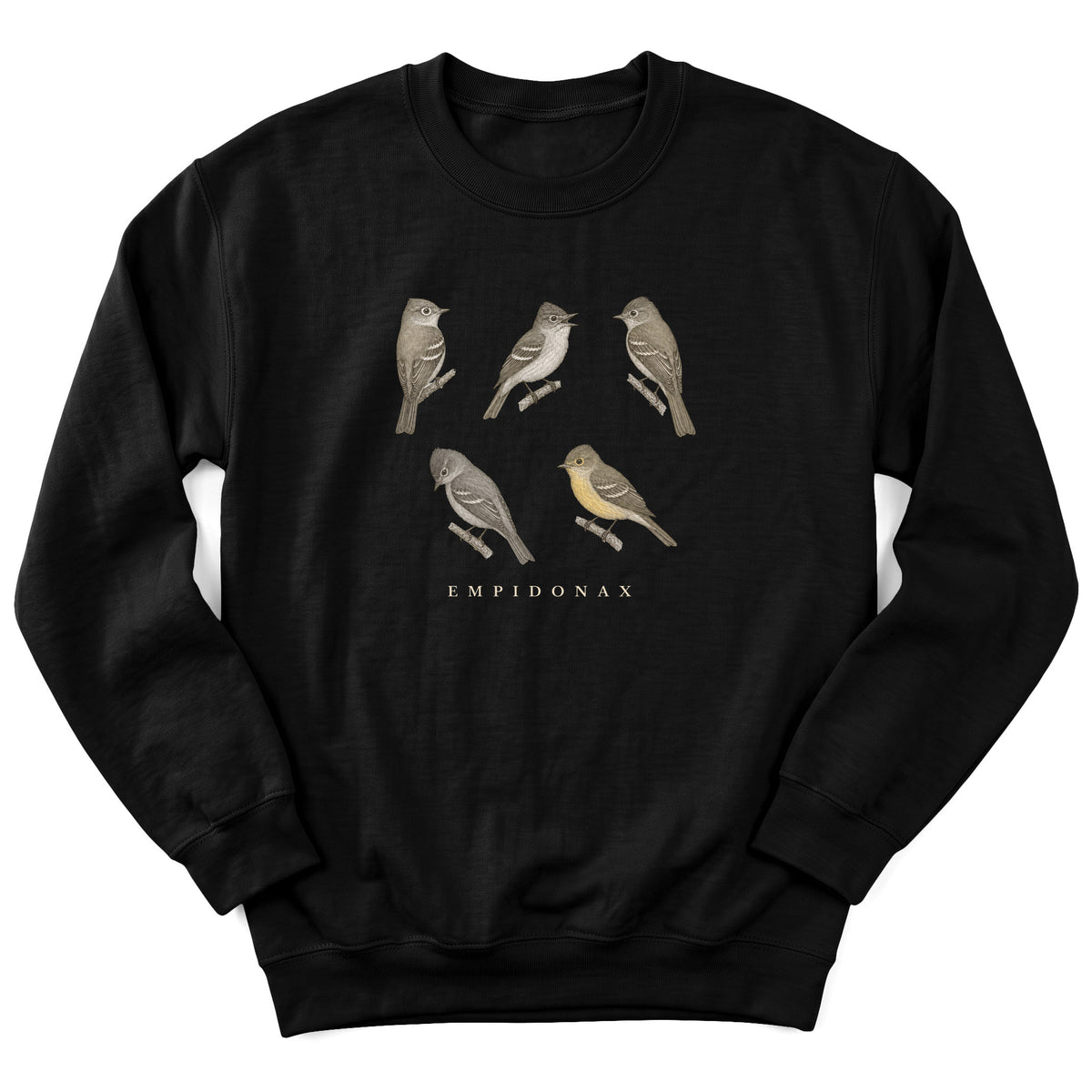 Spark Bird Society — Black
