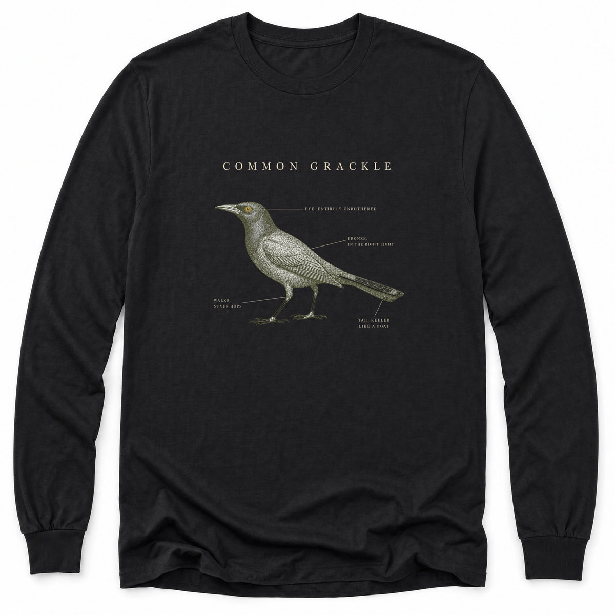 Spark Bird Society — Black