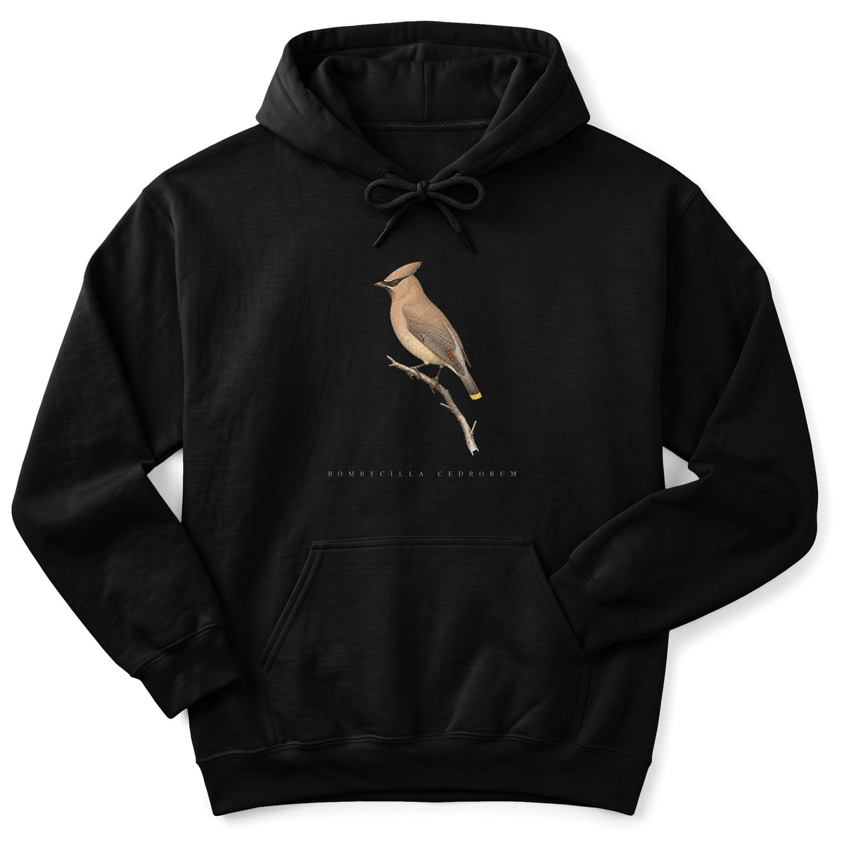 Spark Bird Society — Black