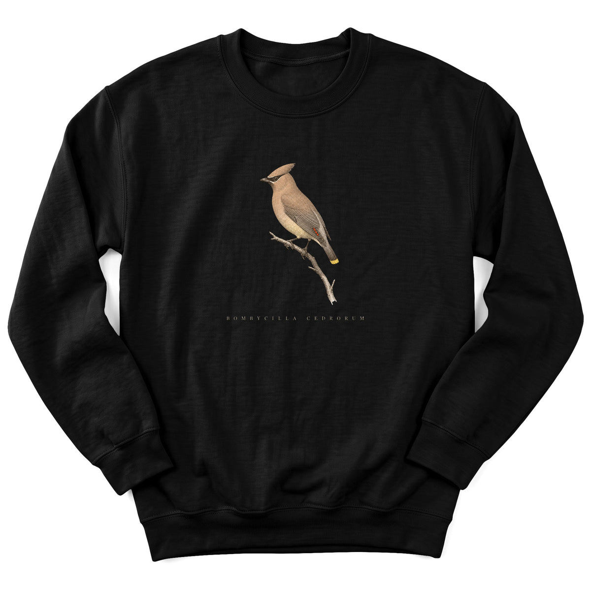 Spark Bird Society — Black