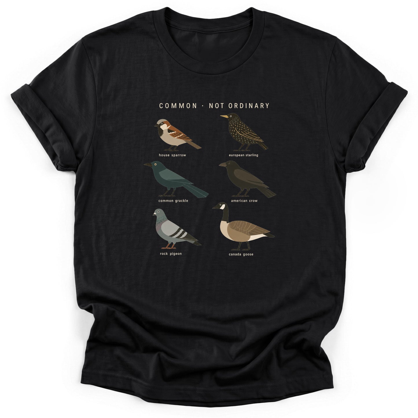 Spark Bird Society — Black