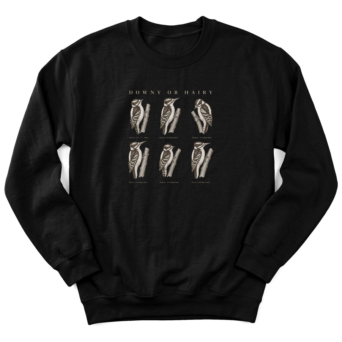 Spark Bird Society — Black