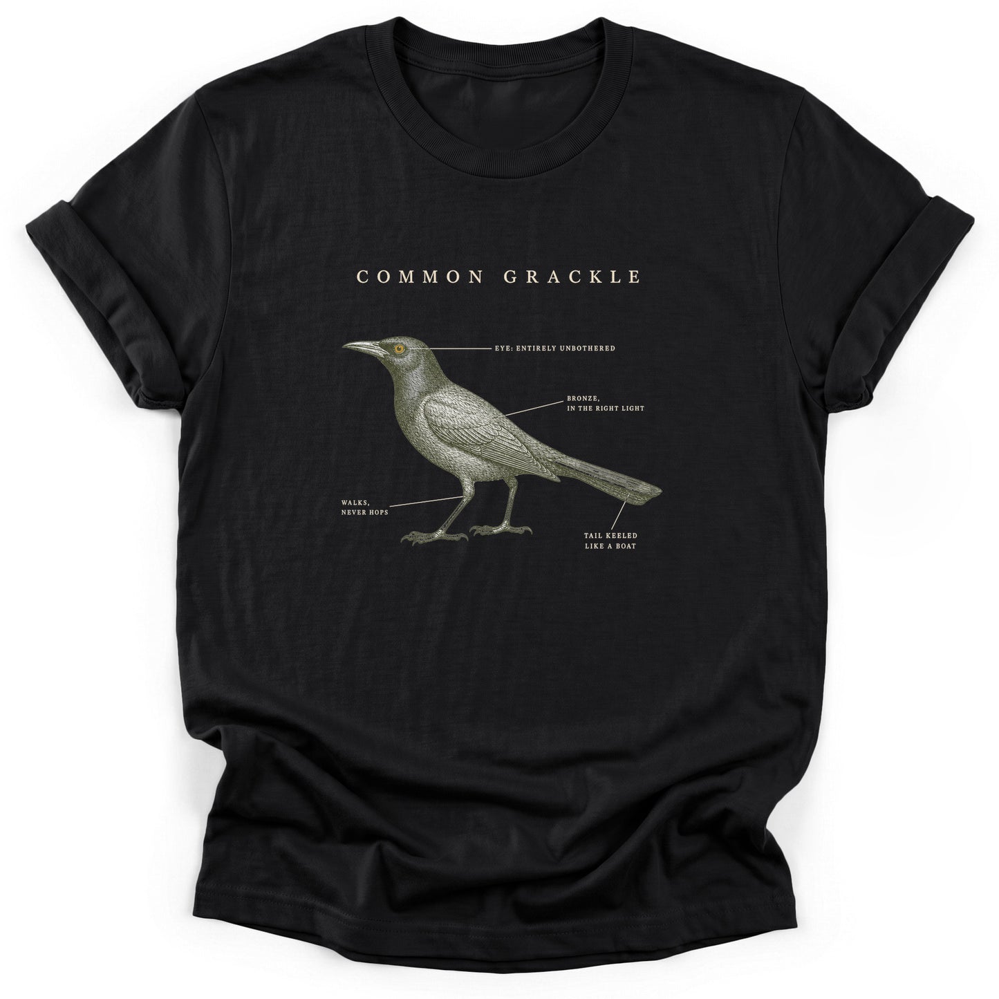 Spark Bird Society — Black