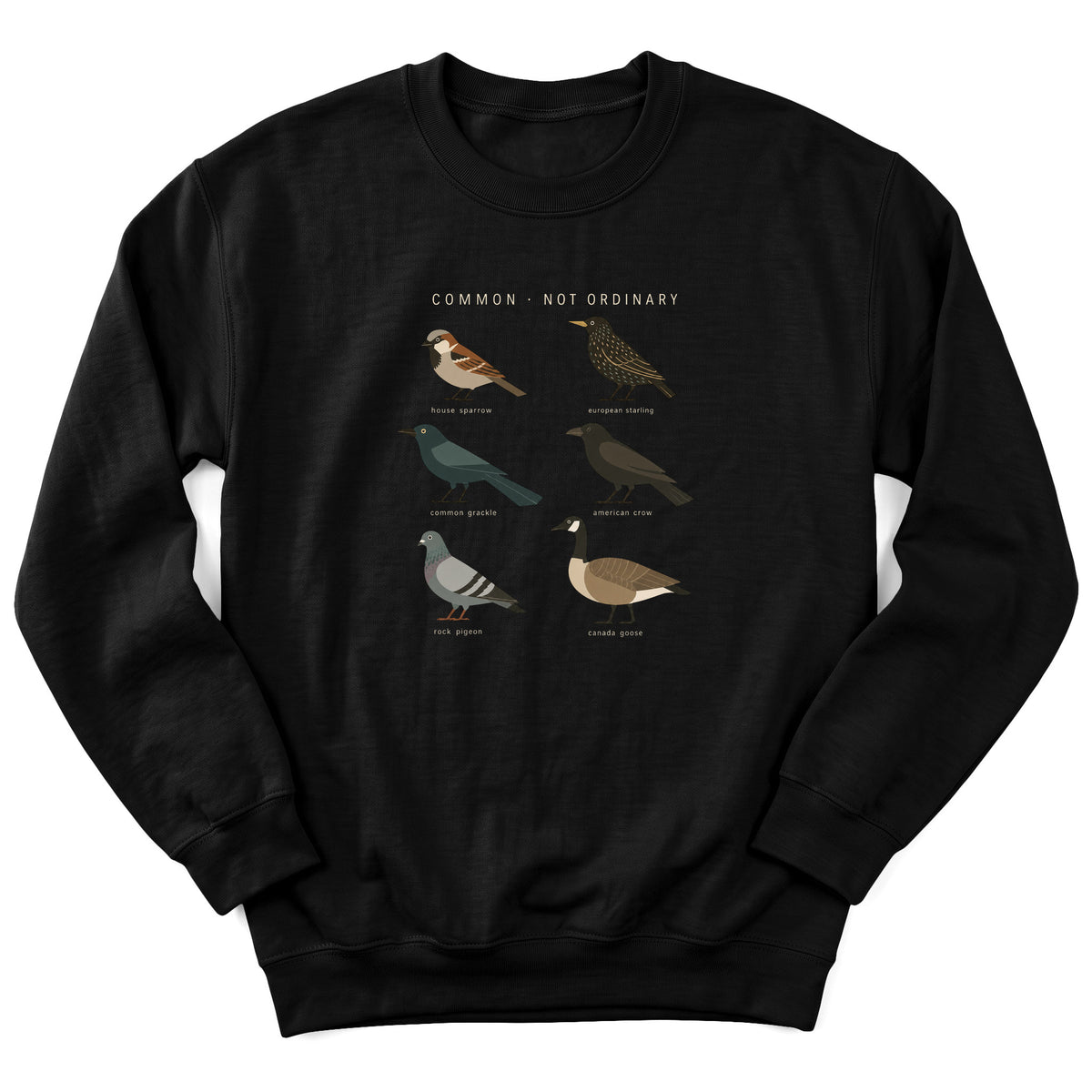 Spark Bird Society — Black