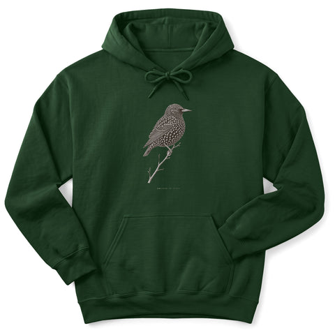 Dressed in Stars Hoodie