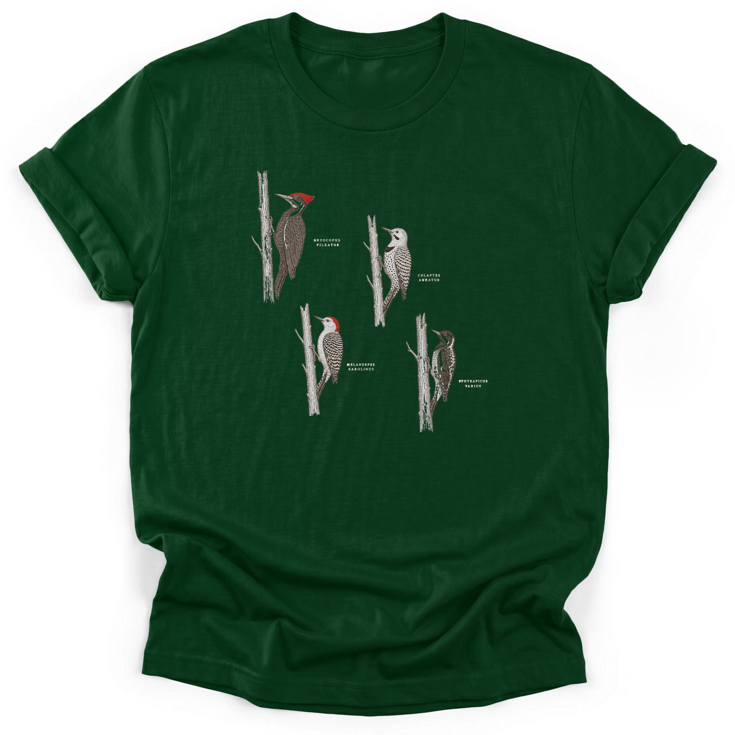 Spark Bird Society — Forest Green