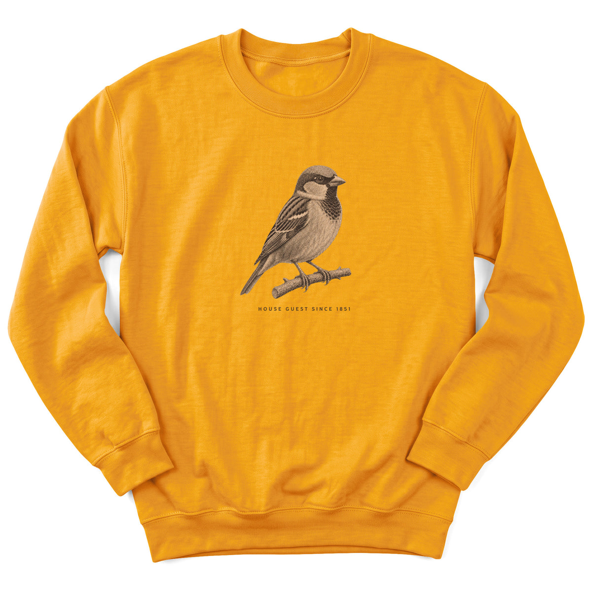 Spark Bird Society — Gold