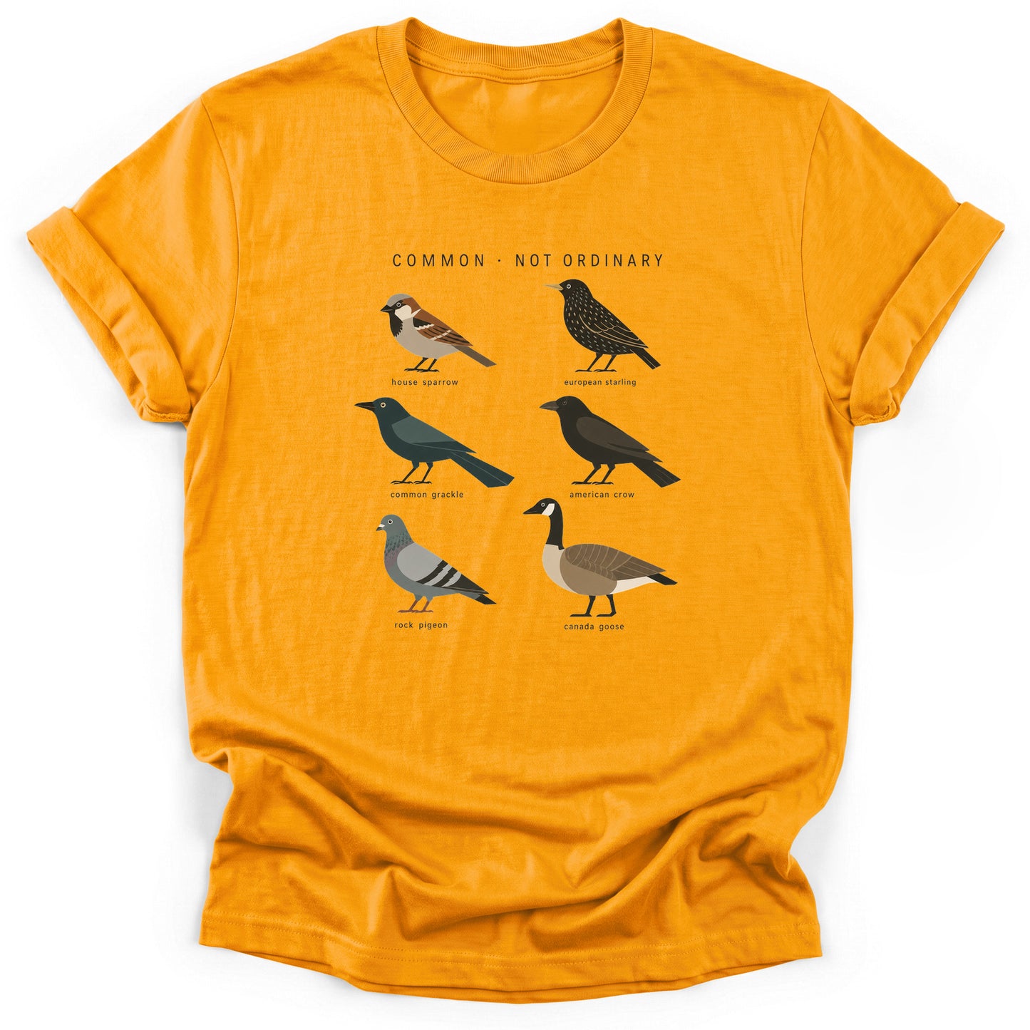 Spark Bird Society — Gold