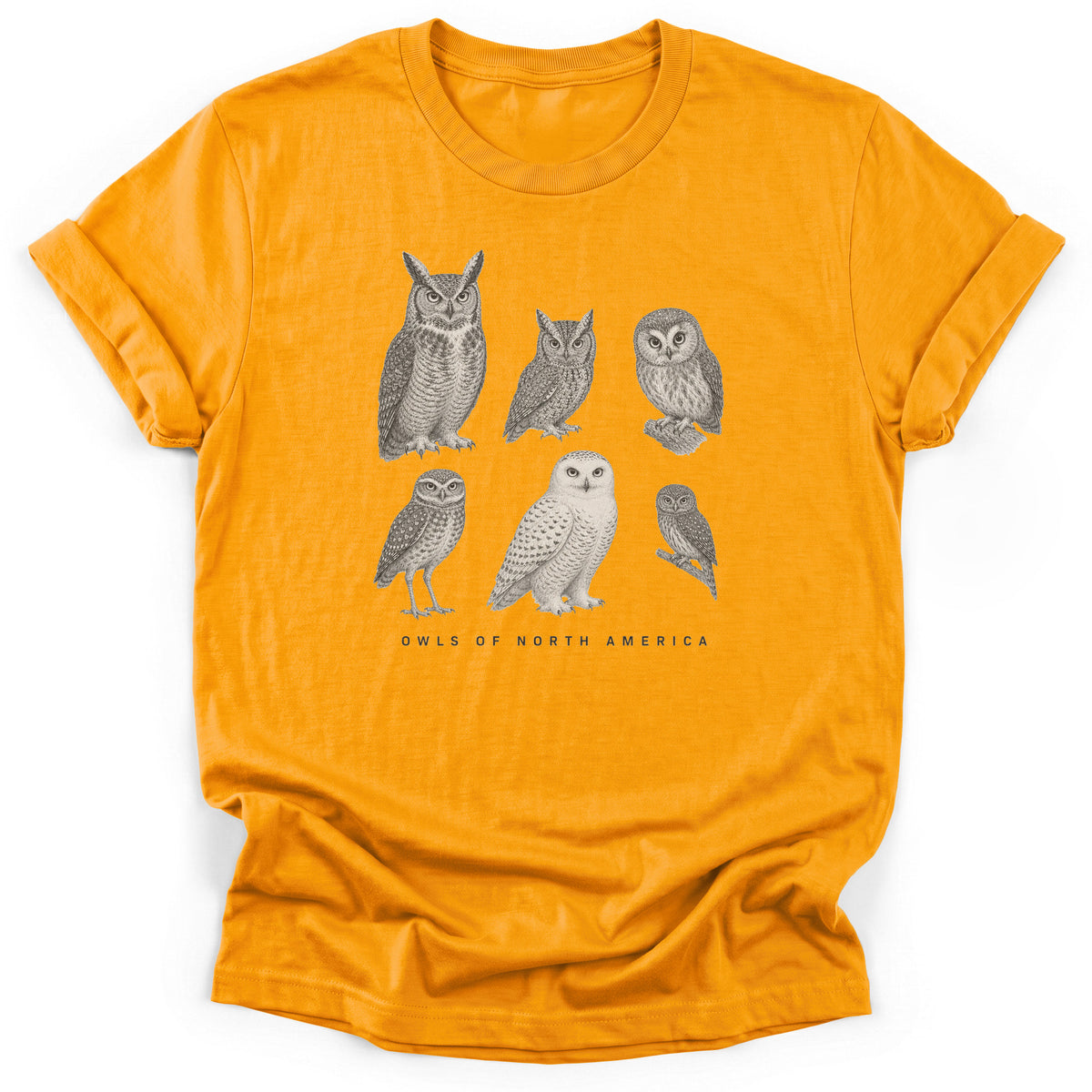 Spark Bird Society — Gold