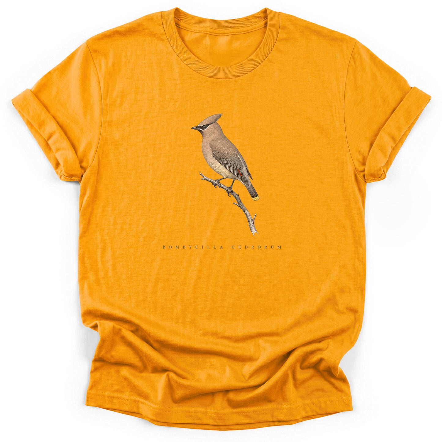 Spark Bird Society — Gold