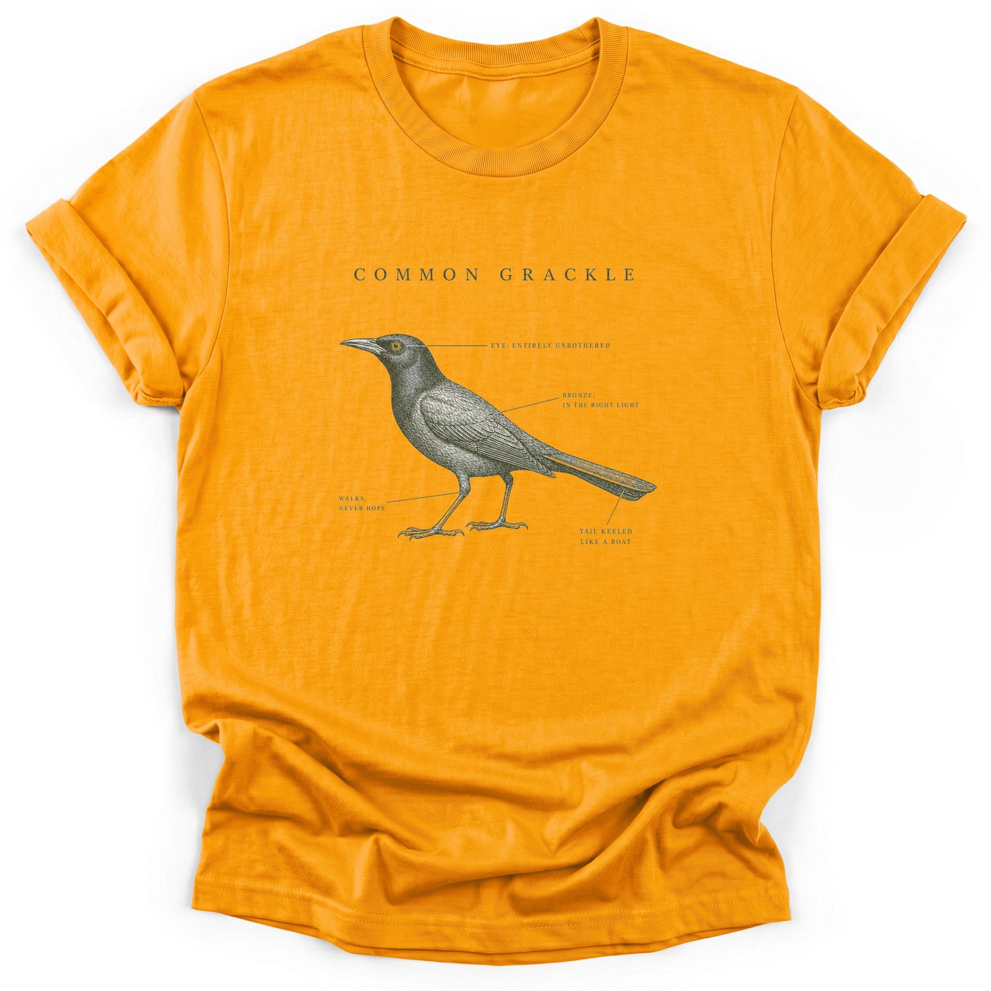 Spark Bird Society — Gold