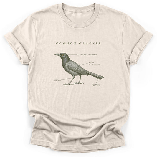 Spark Bird Society — Natural