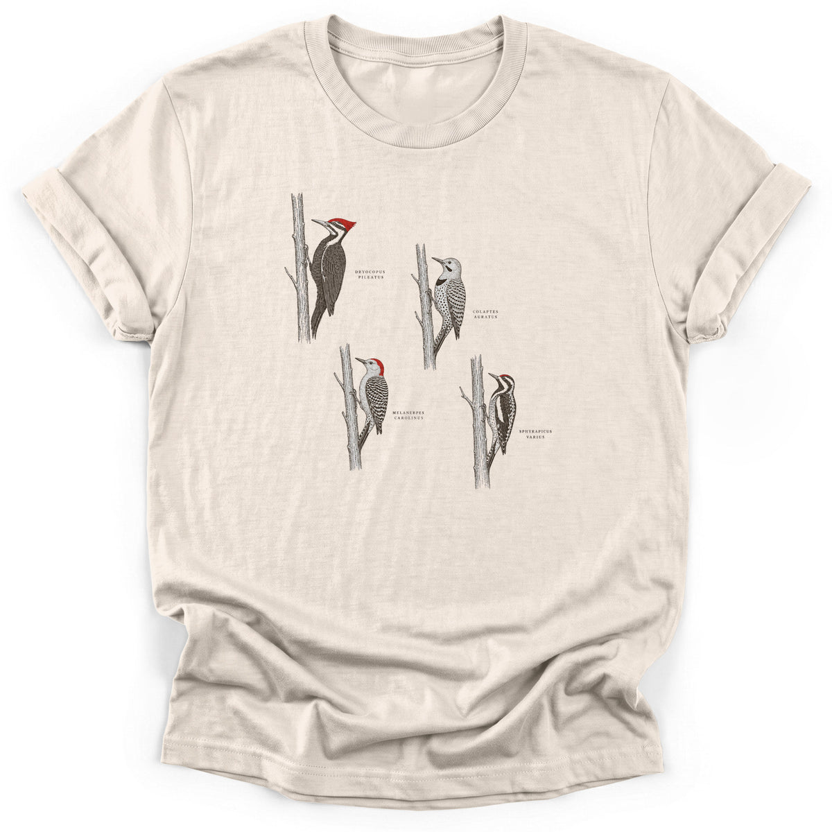 Spark Bird Society — Natural