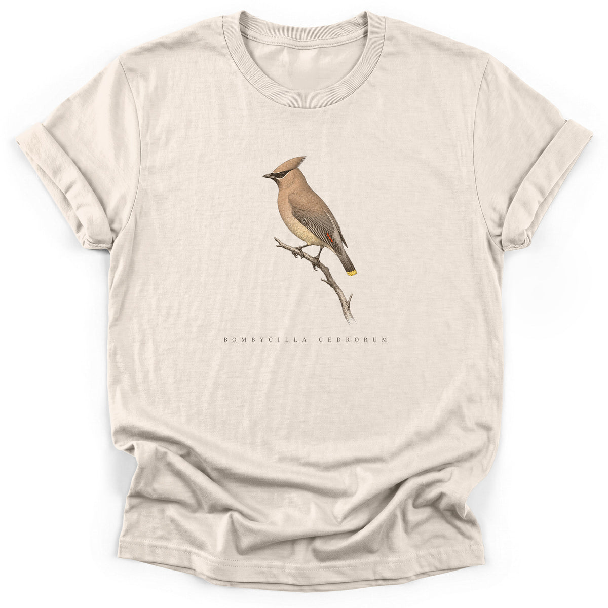 Spark Bird Society — Natural