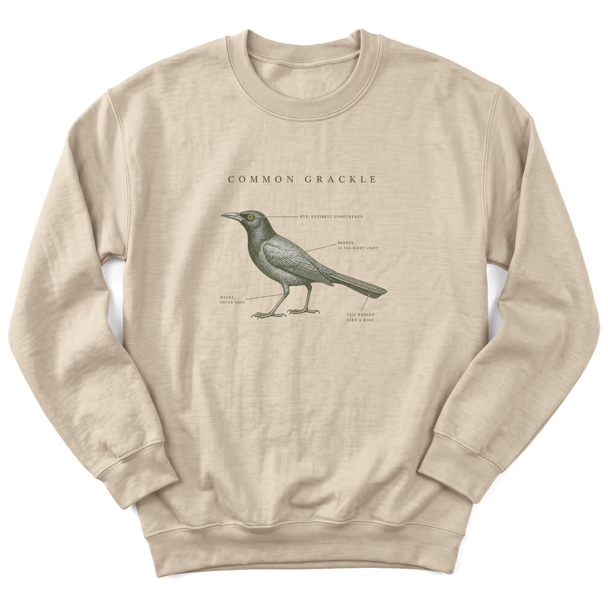 Spark Bird Society — Sand