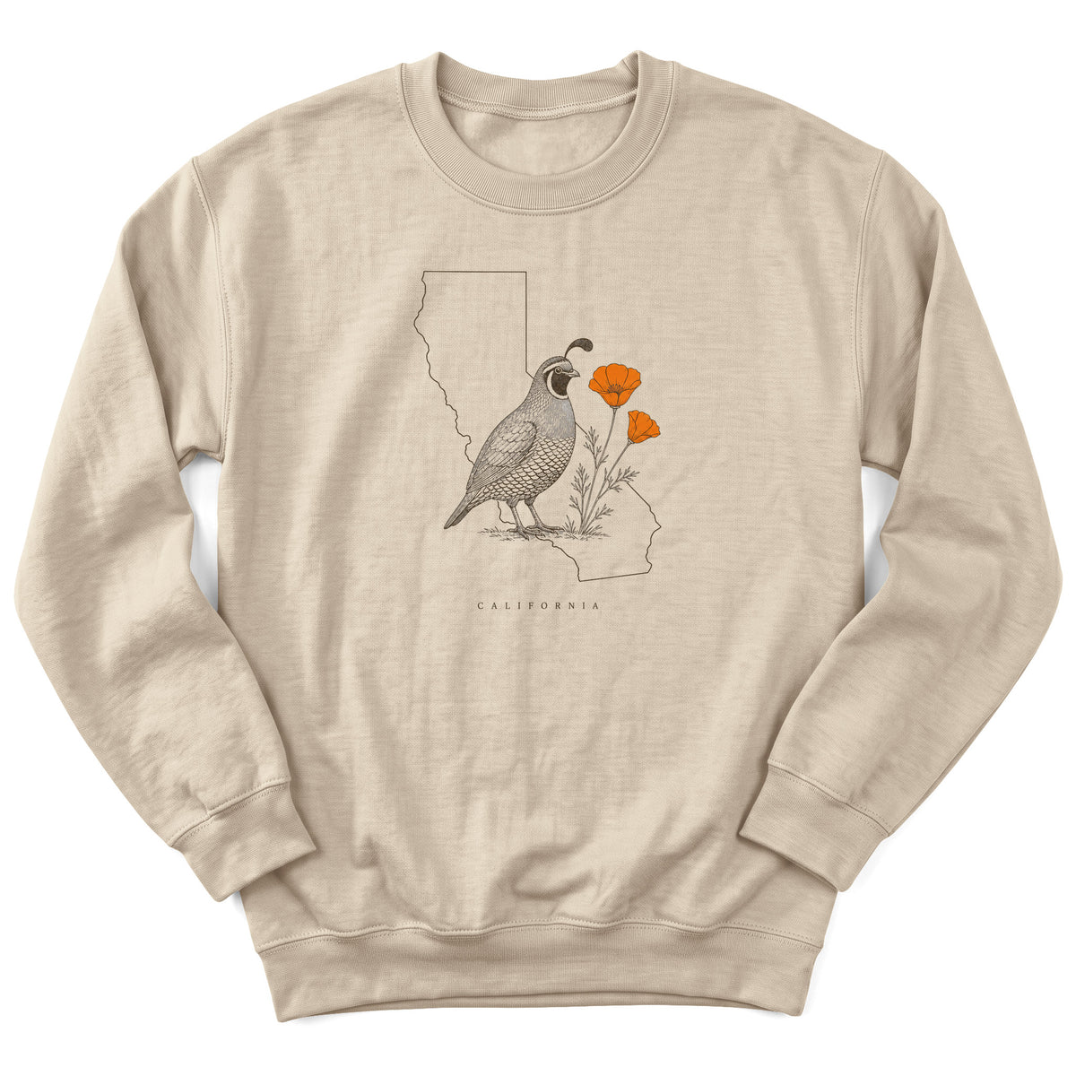 Spark Bird Society — Sand