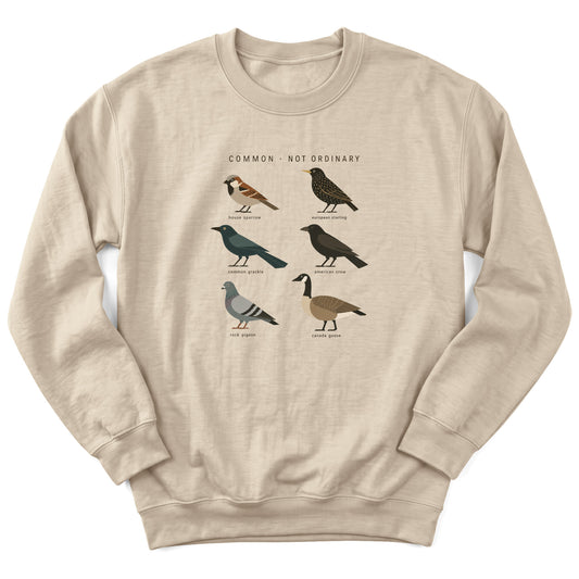 Spark Bird Society — Sand