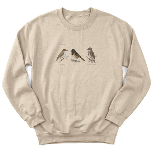 Spark Bird Society — Sand