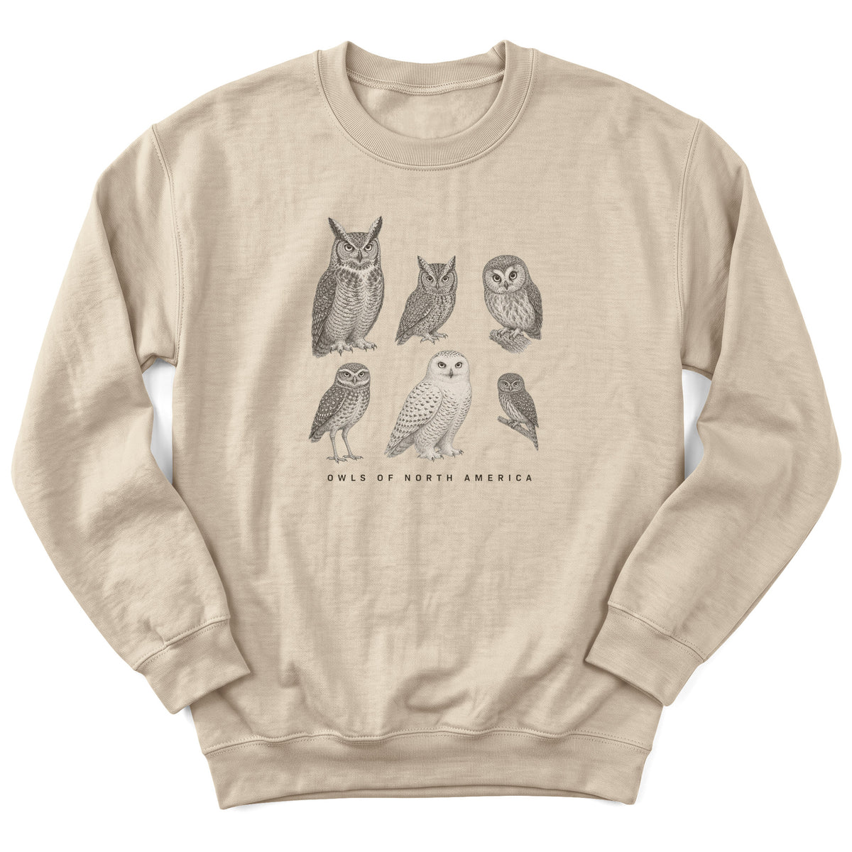 Spark Bird Society — Sand