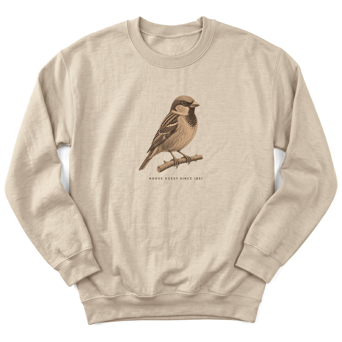 Spark Bird Society — Sand