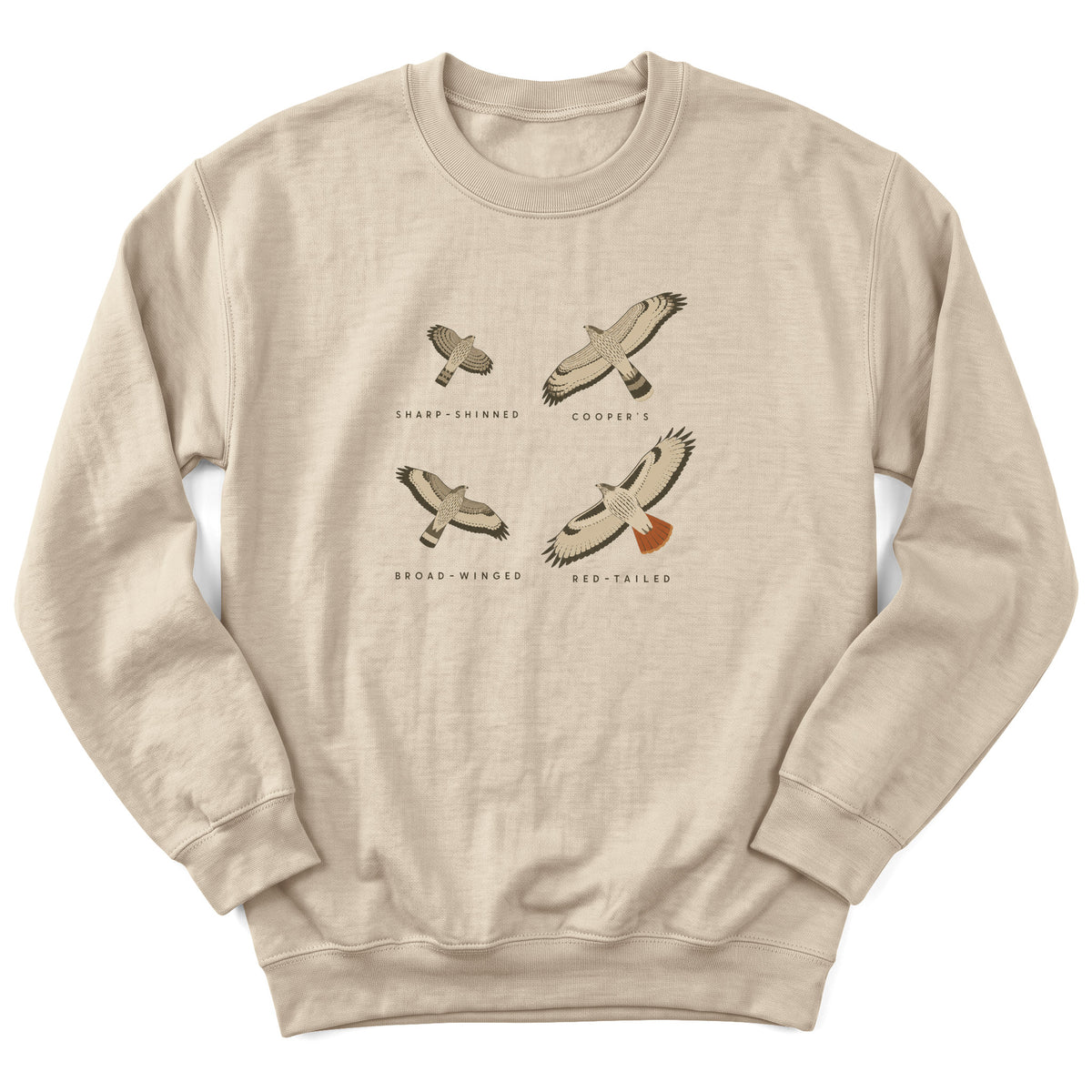 Spark Bird Society — Sand