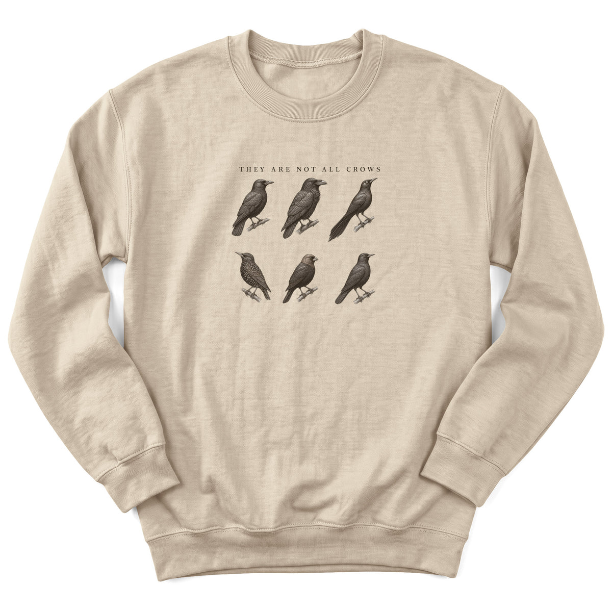 Spark Bird Society — Sand