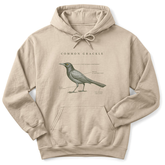 Spark Bird Society — Sand