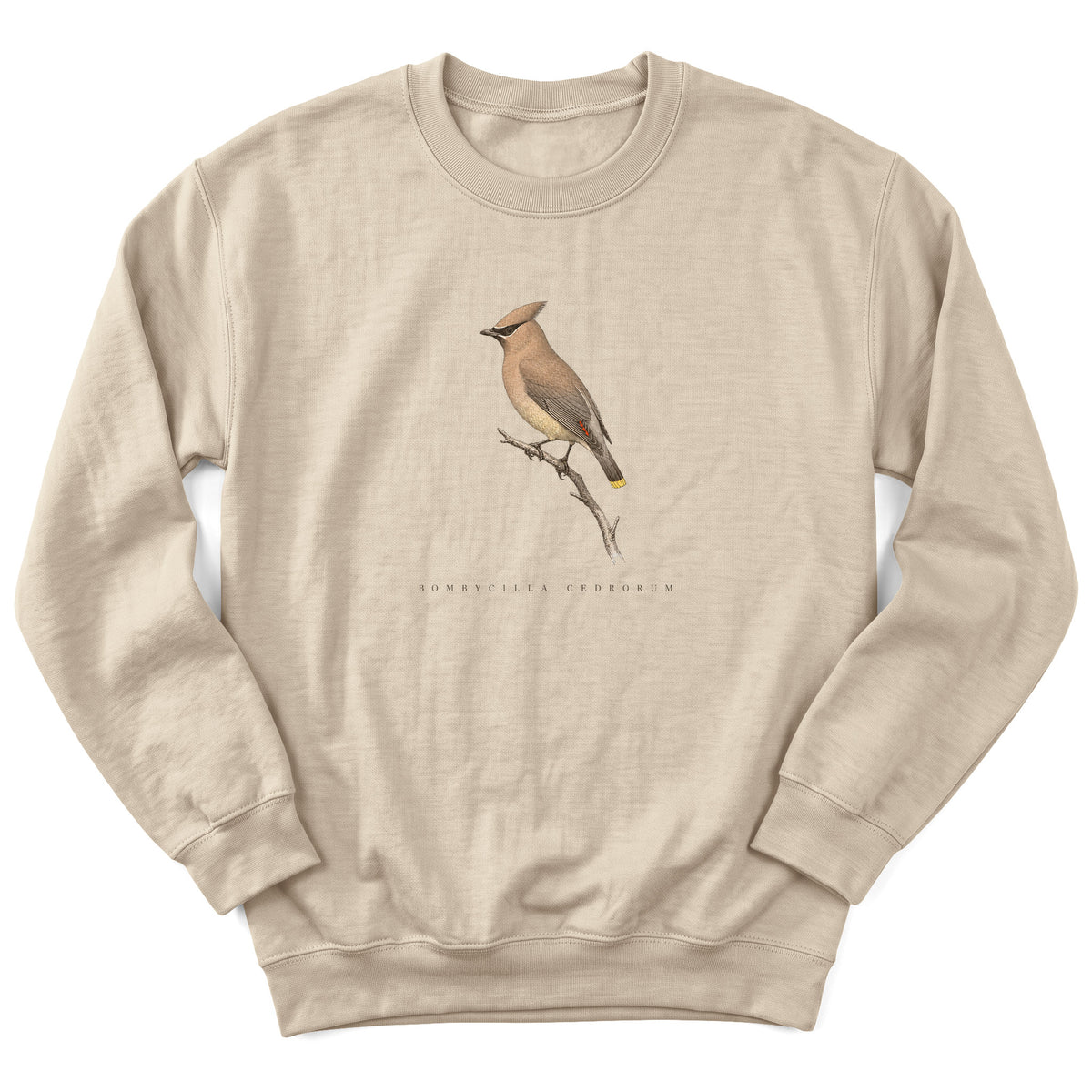Spark Bird Society — Sand