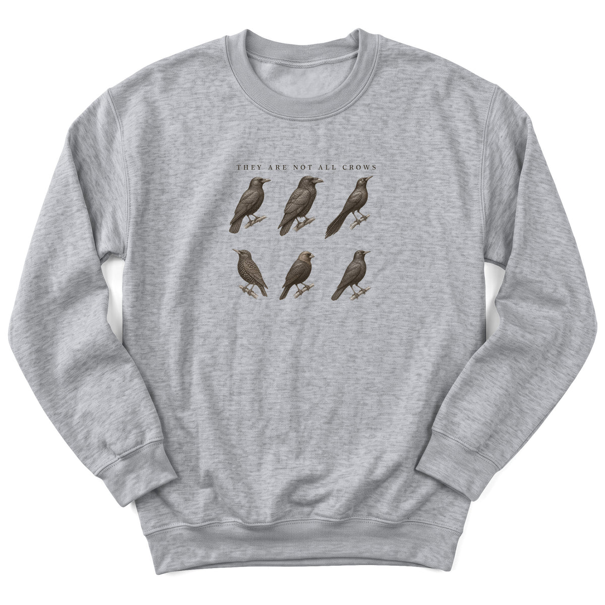 Spark Bird Society — Sport Grey
