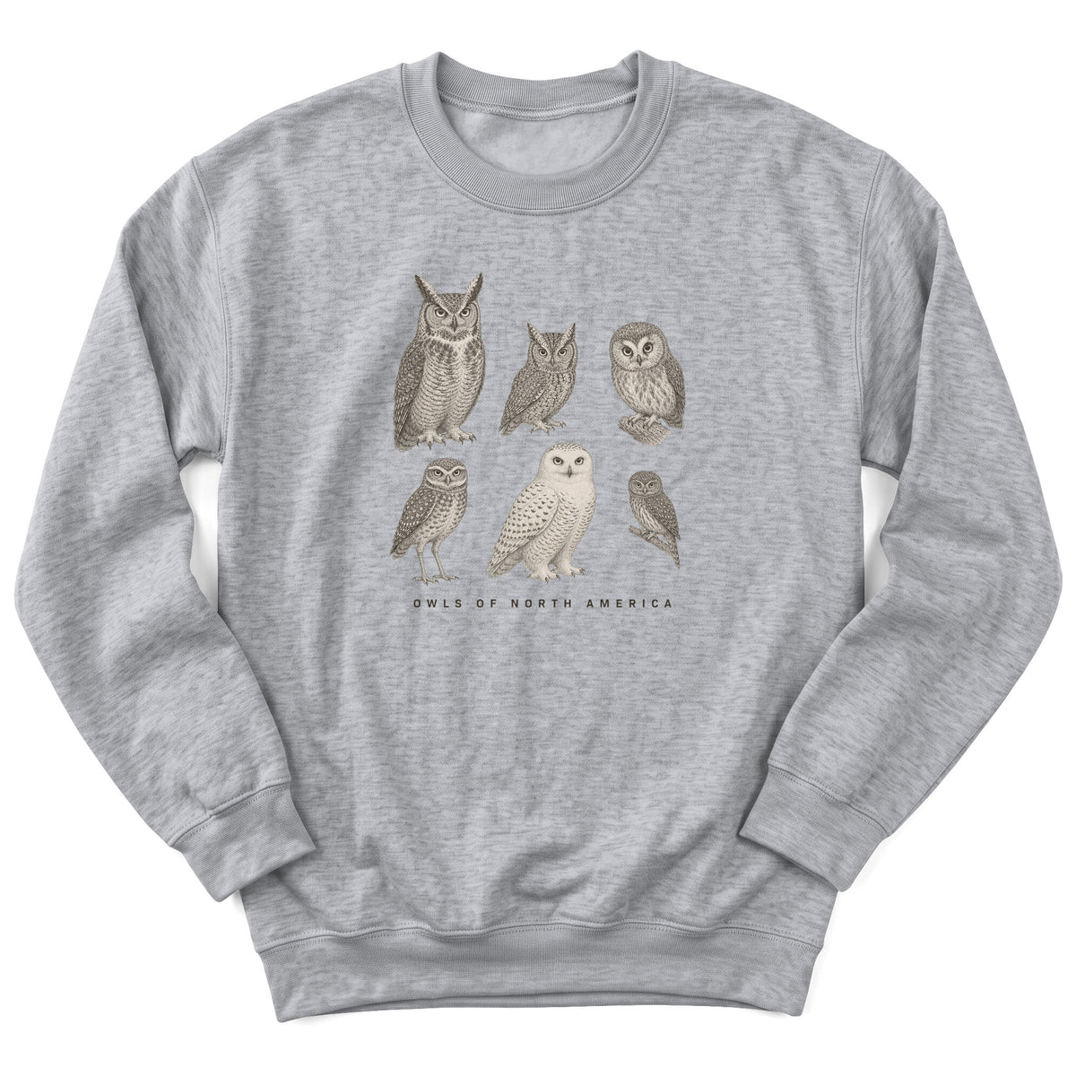 Spark Bird Society — Sport Grey
