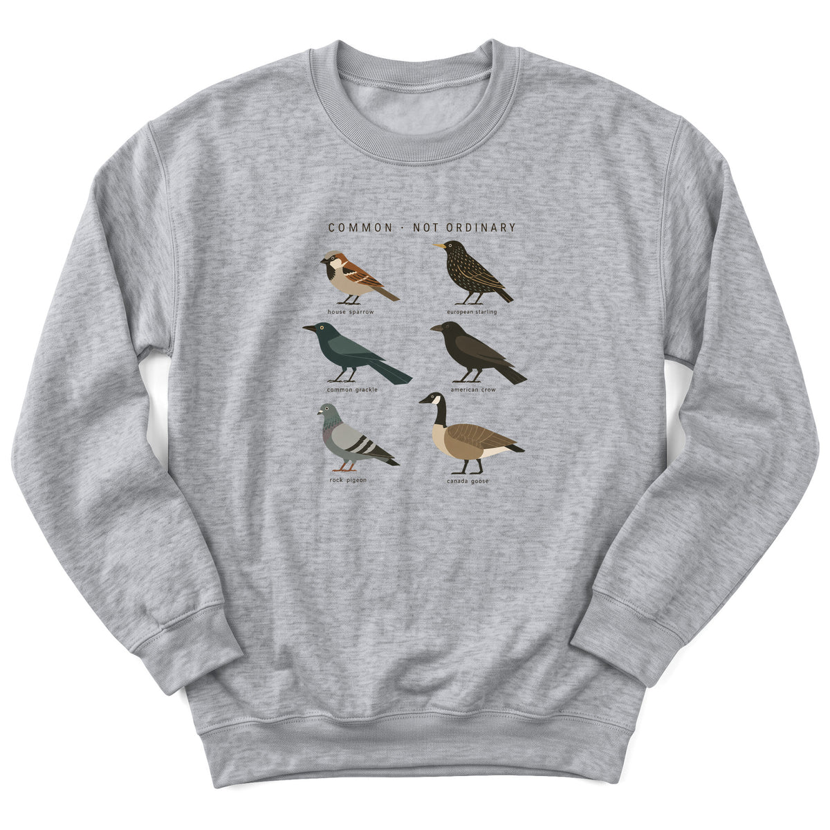 Spark Bird Society — Sport Grey