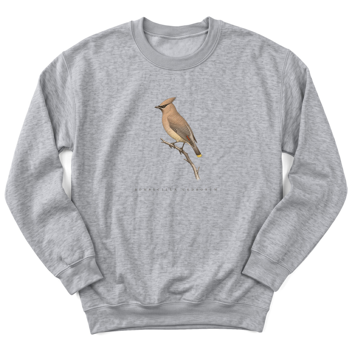 Spark Bird Society — Sport Grey