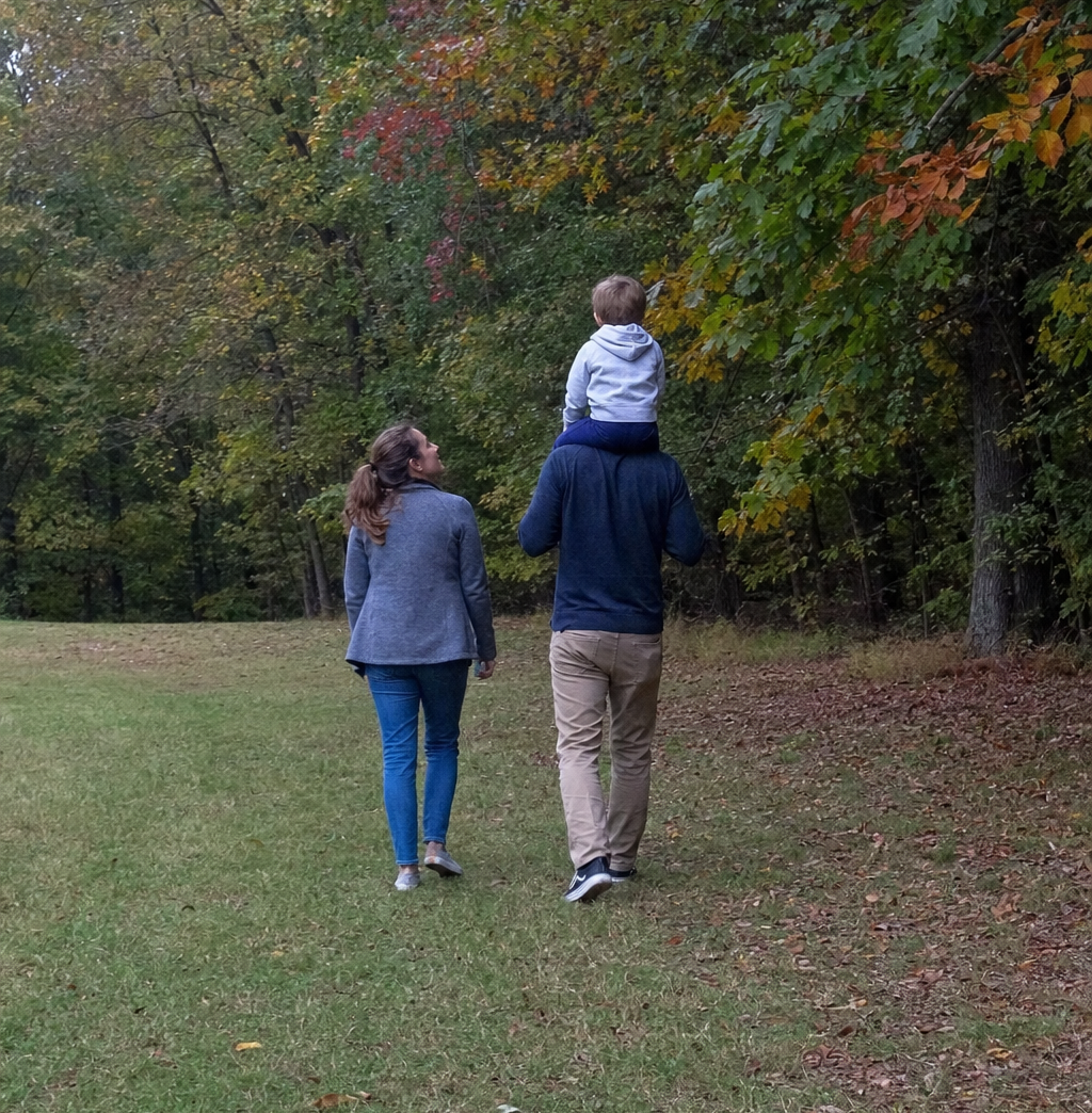 A family walking at the edge of woodland in autumn